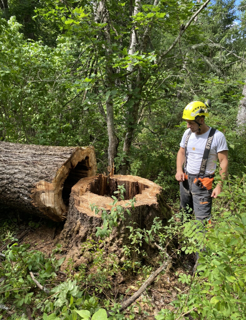 TR DF LLNING FLEN Tr df llning I Nyk ping Trosa Mariefred Flen 